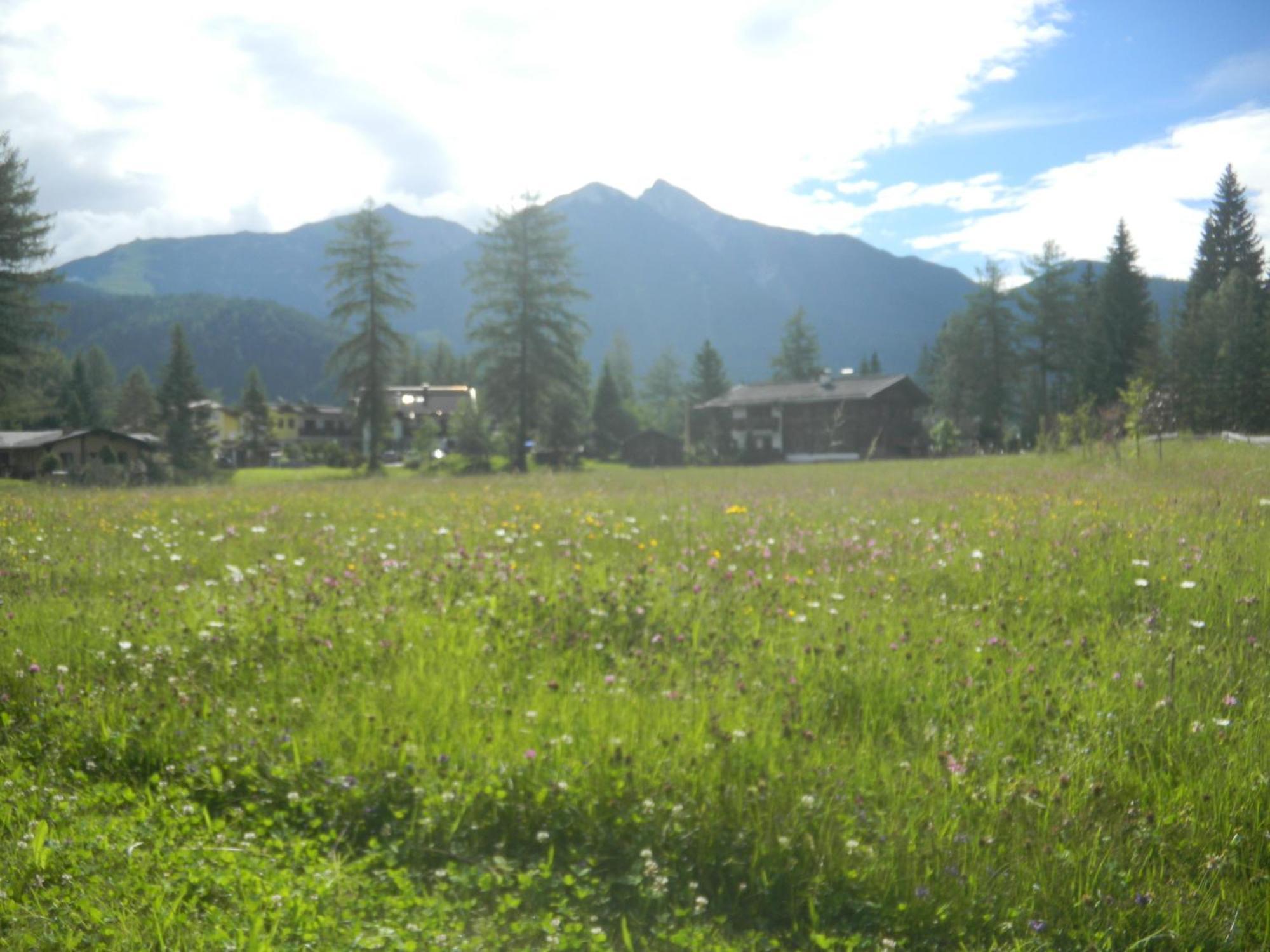 Landhaus Charlotte Am Geigenbuehel -Apartments Seefeld in Tirol Kültér fotó