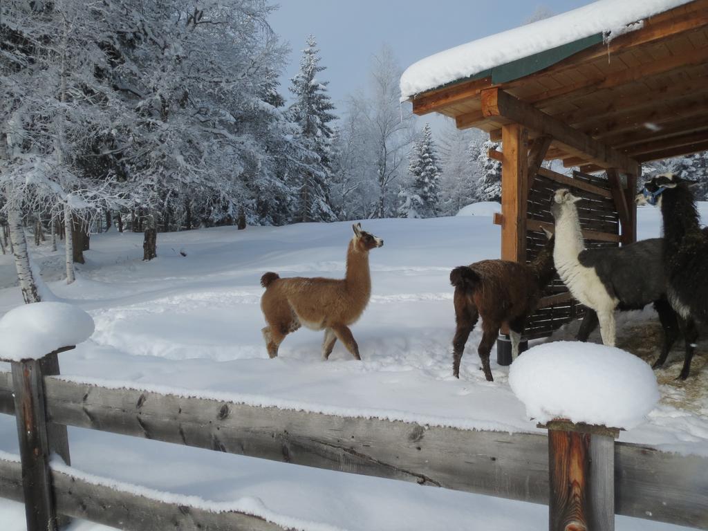Landhaus Charlotte Am Geigenbuehel -Apartments Seefeld in Tirol Kültér fotó